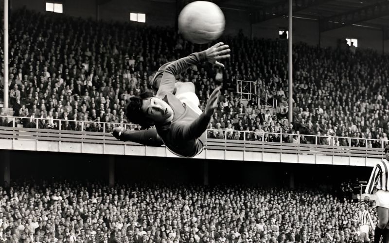 Lịch sử và vai trò của hình ảnh găng tay thủ môn